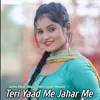 About Teri Yaad Me Jahar Me Song